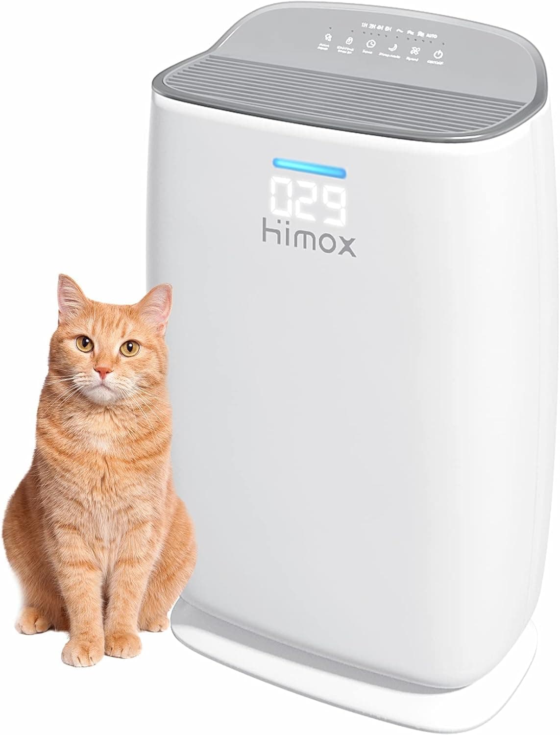 Meilleur purificateur d'air maison 2026 : guide complet et comparatif